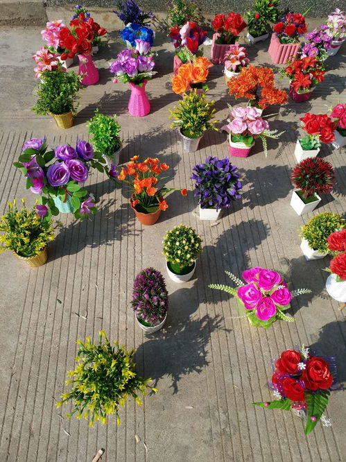百花園工藝品花卉 年前小本創業的優質選擇——盆景種植項目深度解析